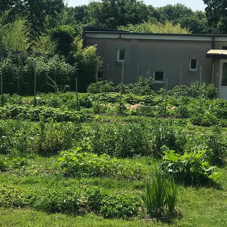 Apartment De Plain Pied Avec 3 Belles *
